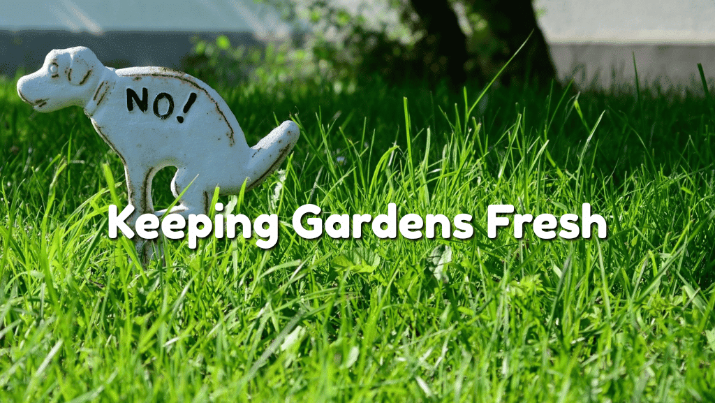 How a Dog Poo Bin Keeps Gardens Fresh