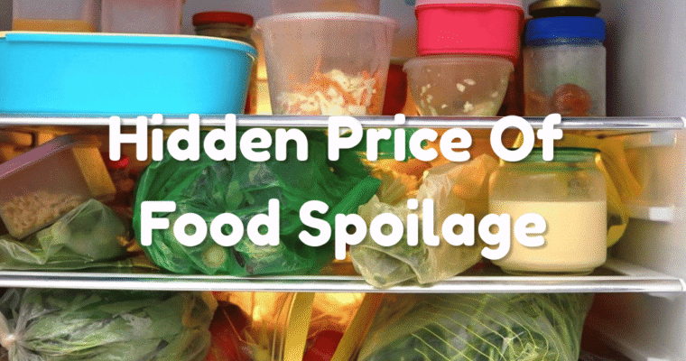 The Hidden Price Of Food Spoilage At Home