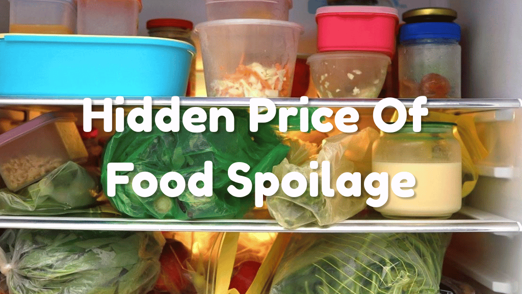 The Hidden Price Of Food Spoilage At Home