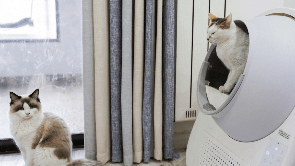 Tips for Pet Owners in Small Apartments: How to Keep a Fresh, Organized Space
