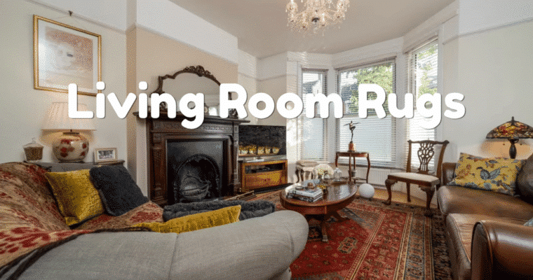 How Area Rugs Instantly Transform a Plain Living Room