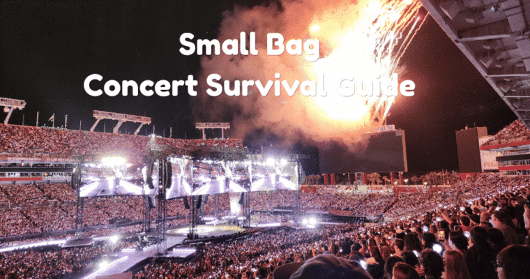The Micro-Bag Survival Guide: What to Pack for a Concert in a 5×7″ Clear Purse
