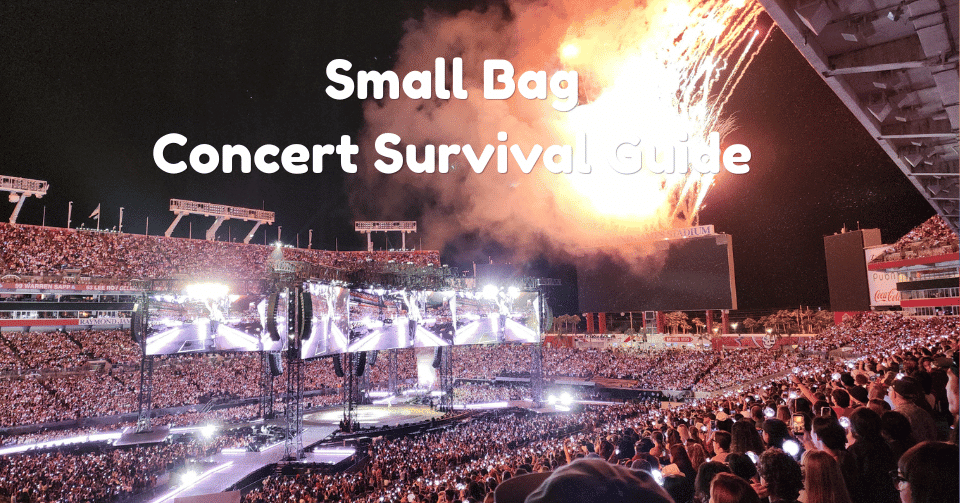 The Micro-Bag Survival Guide: What to Pack for a Concert in a 5×7″ Clear Purse