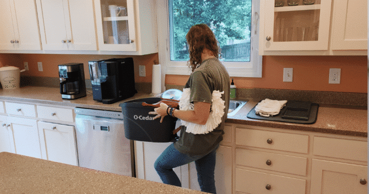 Homeaglow Cleaning Service – Is it worth it?