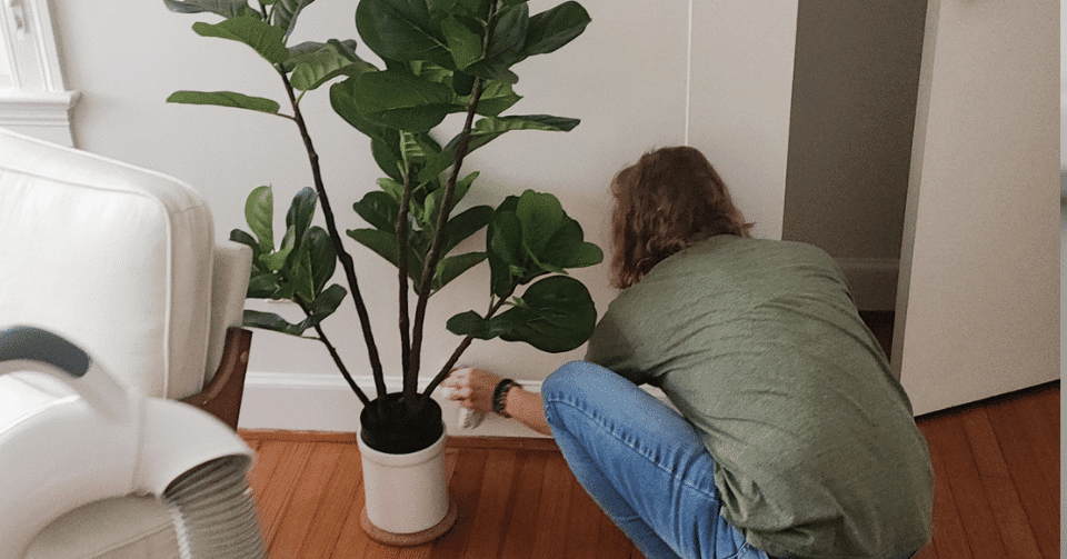 Homeaglow review and special discount