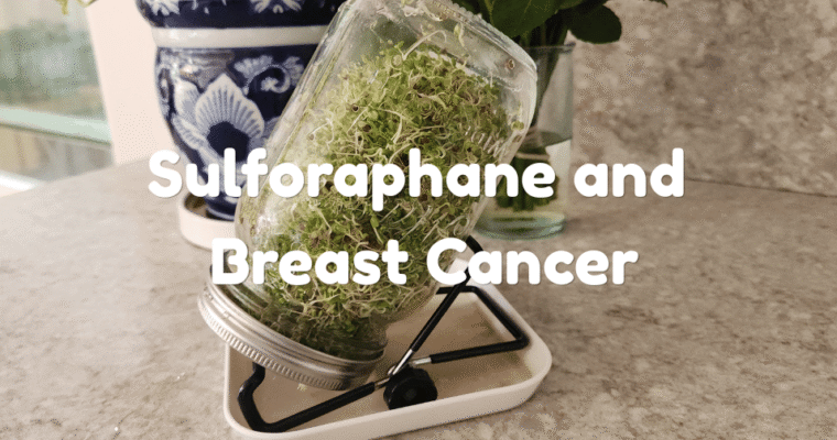 Sulforaphane and Breast Cancer: Why I Swapped Expensive Supplements for Homegrown Broccoli Sprouts