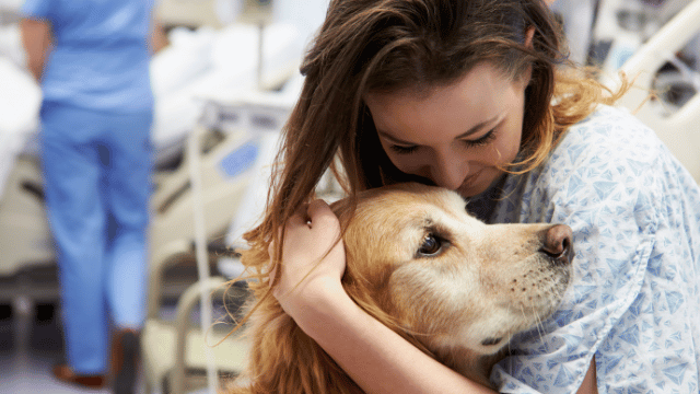 Can Your Pet Support Addiction Recovery? What the Research and Real Life Suggest