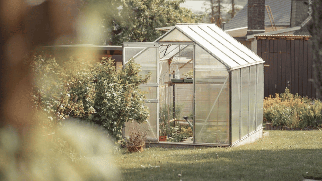 greenhouse