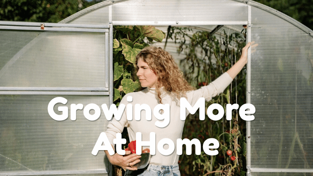 Growing More At Home: Ideas For A More Productive Backyard