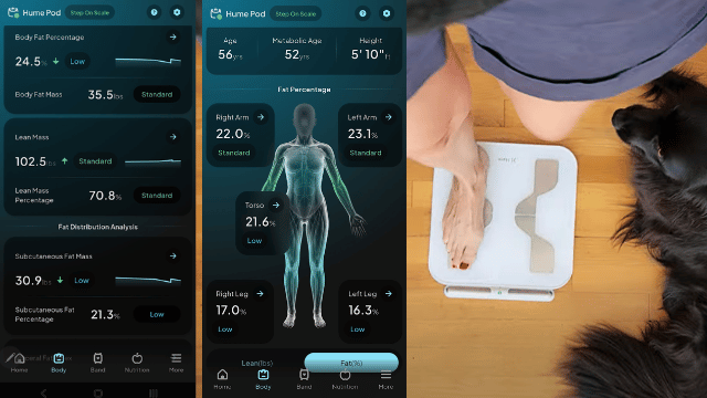 Body Composition Snapshot from my Pod 2.0