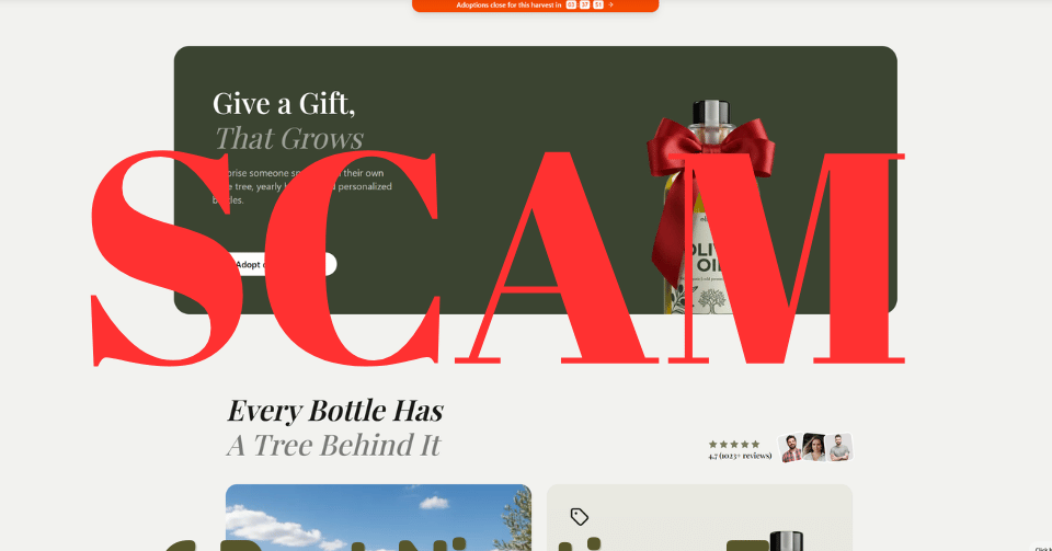I Adopted an Olive Tree & Got Scammed: Why Oliverse is a Scam & Be Wary Of Facebook Ads