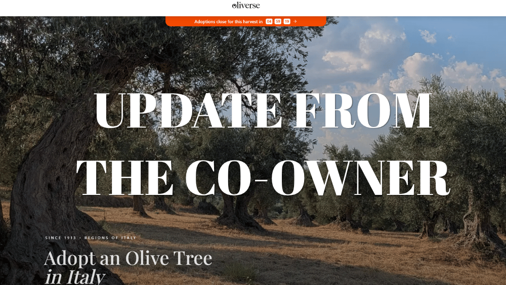 Oliverse Update: Growing Pains or Just Good PR?